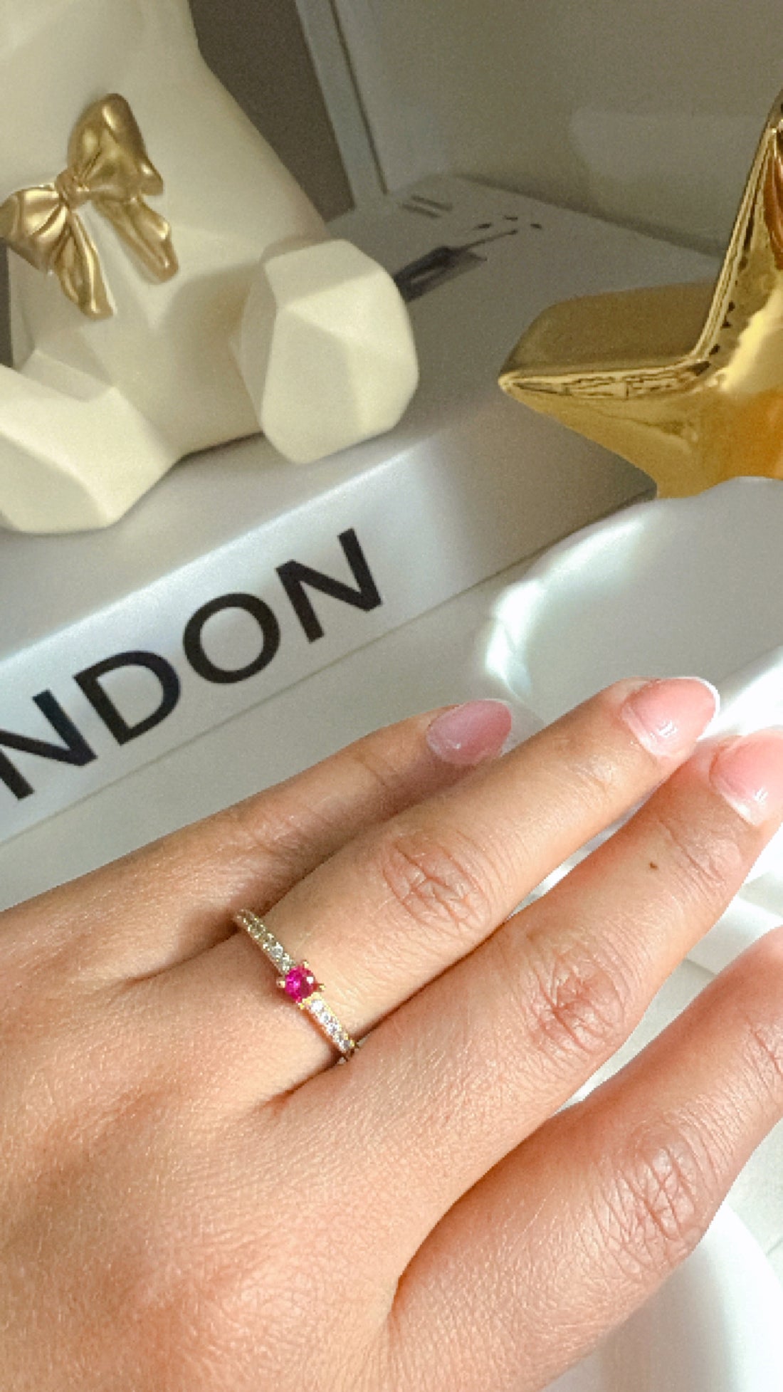 Anillo Punto